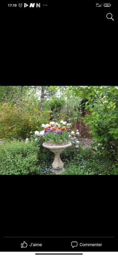 Petit Coin De Paradis Fontaine-les-Luxeuil ภายนอก รูปภาพ